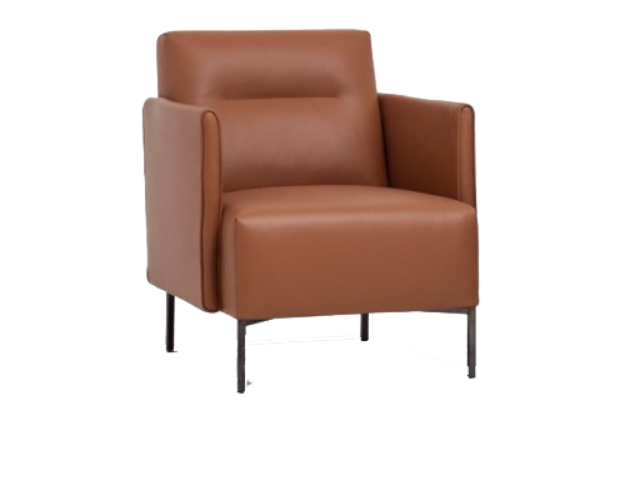 Picture of EASE CHAIR