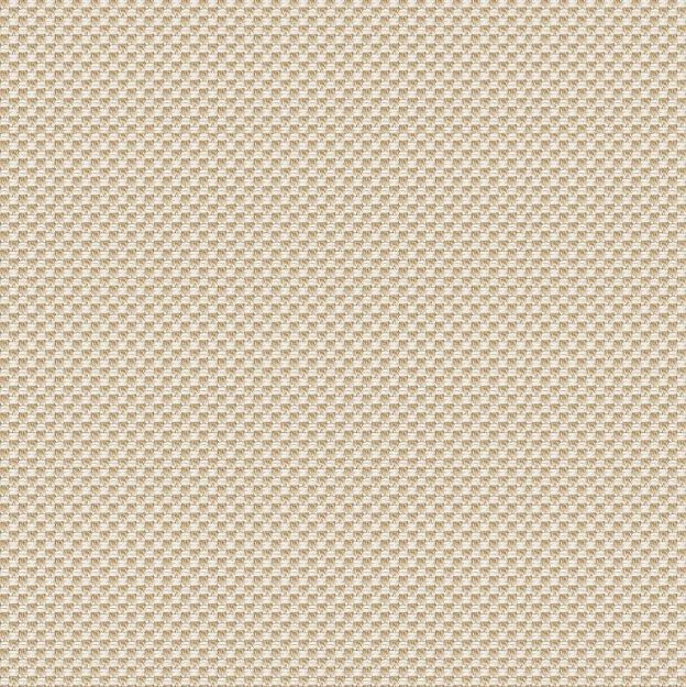 Slika C8150005A5232A LAZYTIME JASTUK 43X43 CM