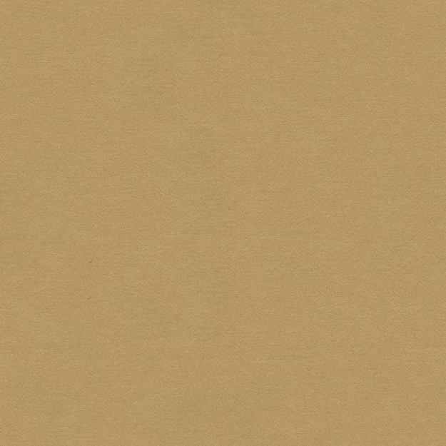 Slika C8104003339005 ERA JASTUK 72X35CM