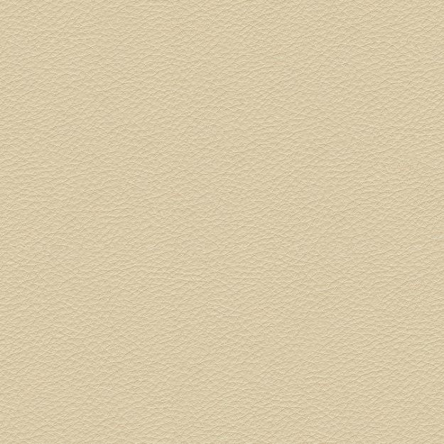 Slika C8220001R06 TALK JASTUK 60X29 CM